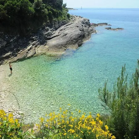 アパート Apartment Una プレマントゥーラ